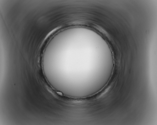 X0000083990830200703091843