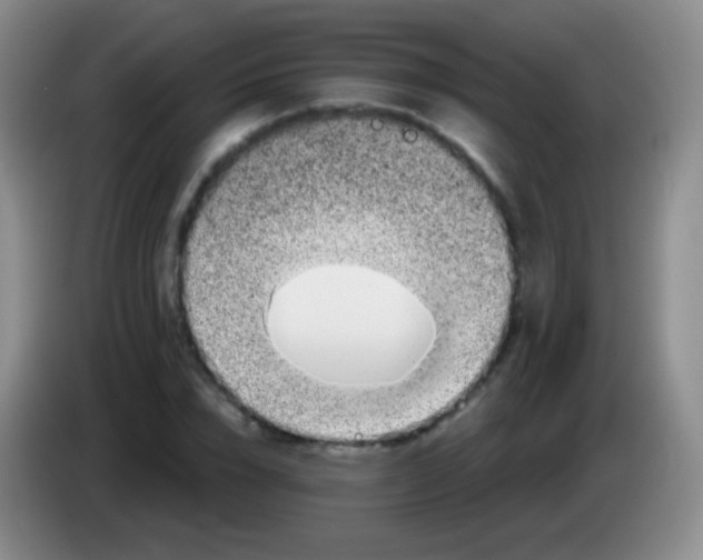 X0000083990832200703091843