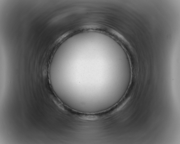 X0000083990833200703091843