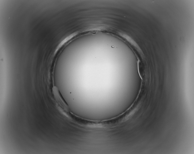 X0000083990834200703091843