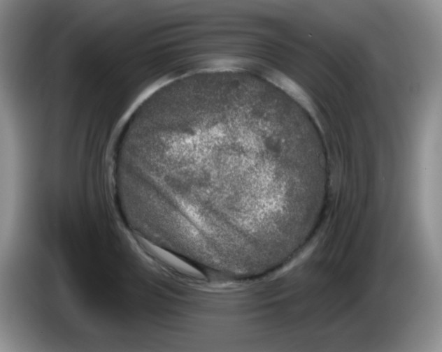 X0000083990835200703091843