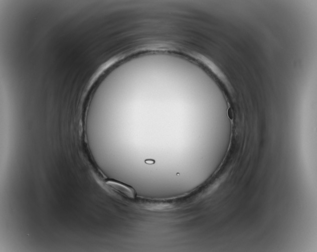 X0000083990837200703091843