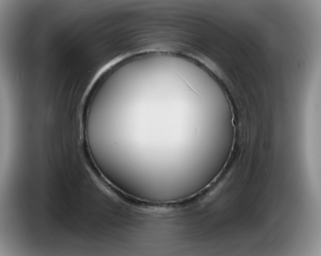 X0000083990838200703091843