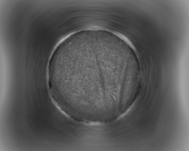 X0000083990839200703091843