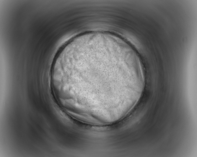 X0000083990840200703091843