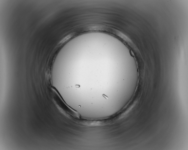 X0000083990841200703091843