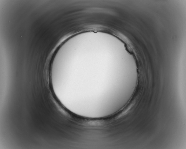 X0000083990843200703091843