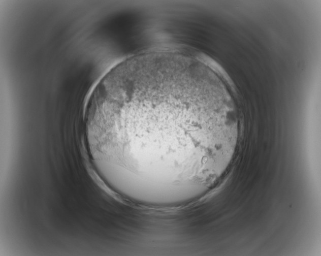 X0000083990844200703091843