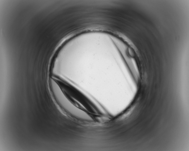 X0000083990845200703091843