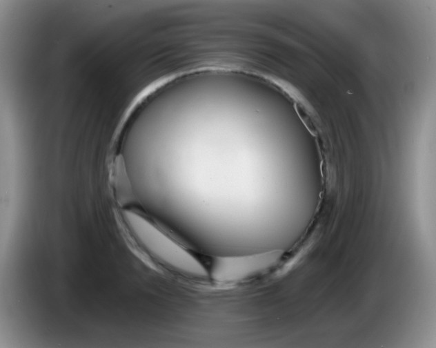 X0000083990846200703091844