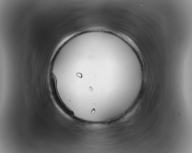 X0000083990847200703091844