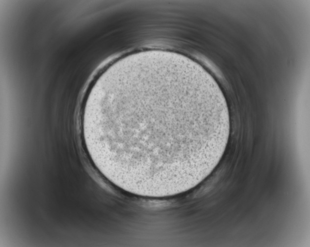 X0000083990848200703091844