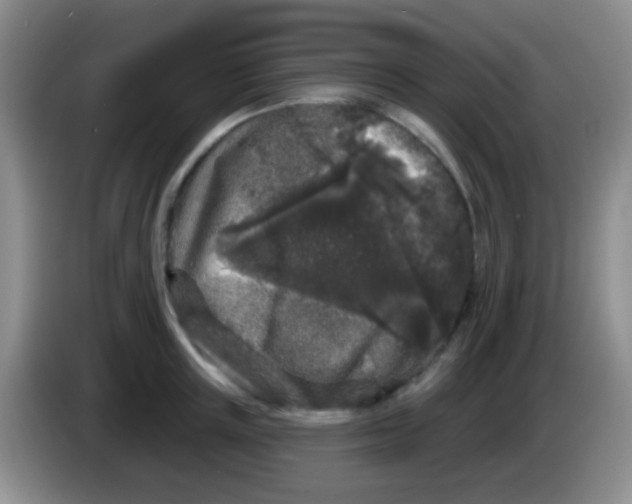 X0000083990851200703091844