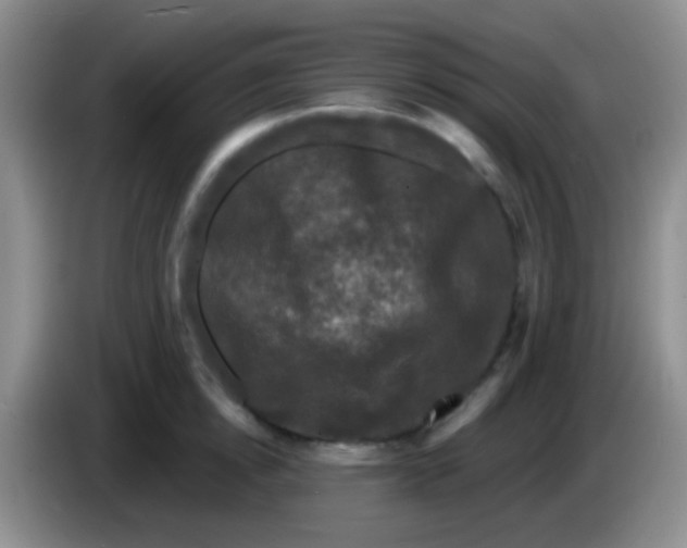 X0000083990854200703091844