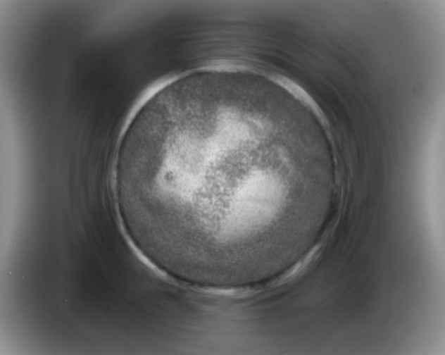 X0000083990855200703091844