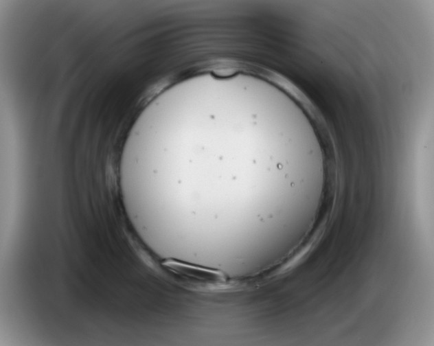 X0000083990857200703091844