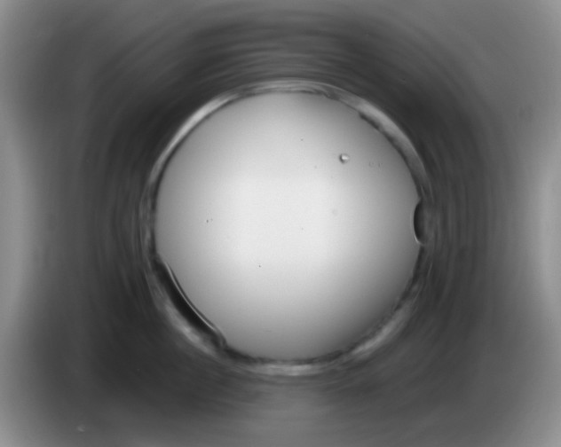 X0000083990860200703091844