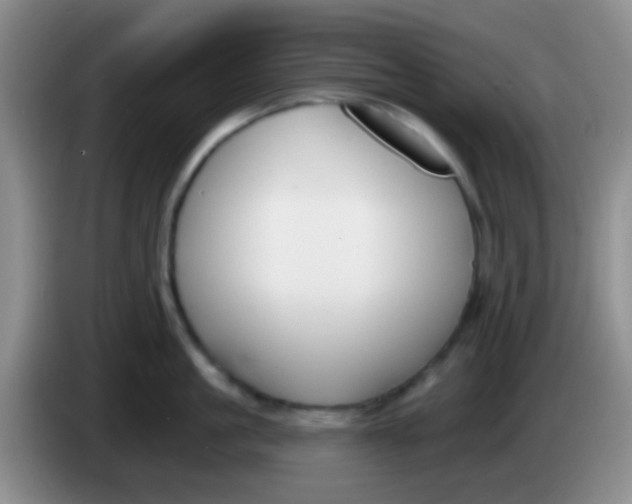 X0000083990861200703091844