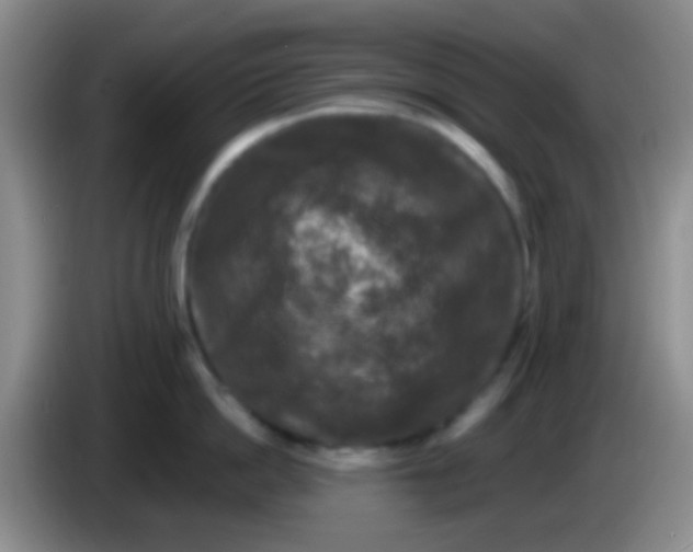 X0000083990862200703091844