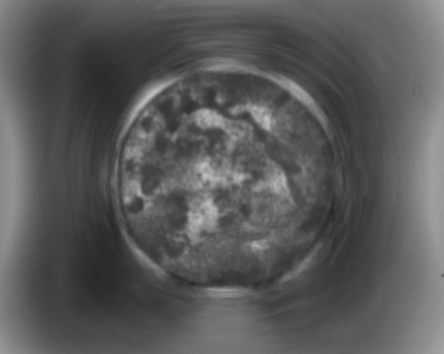 X0000083990863200703091844