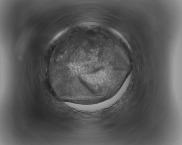 X0000083990871200703091843