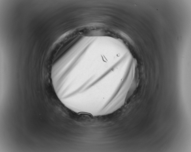 X0000083990872200703091843