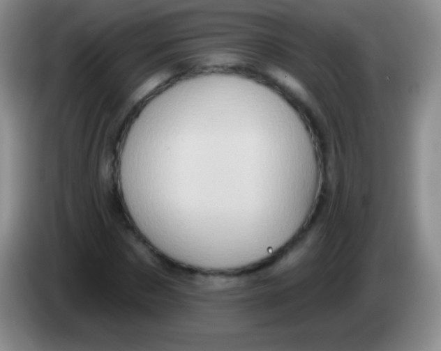 X0000083990873200703091843