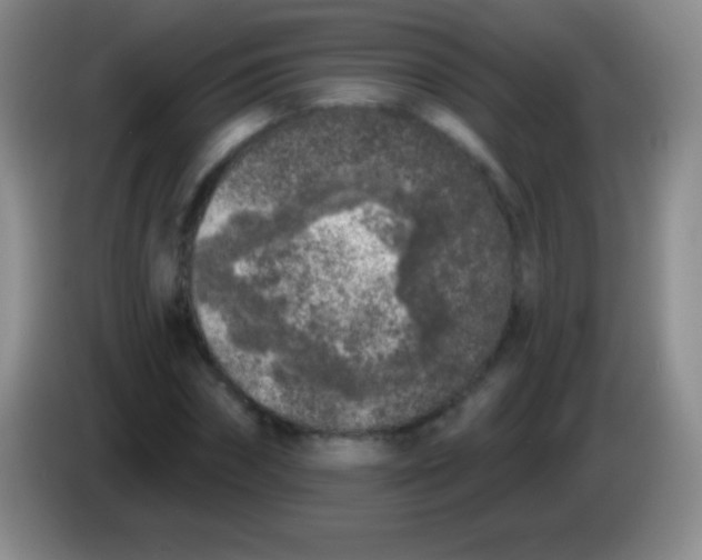 X0000083990874200703091843