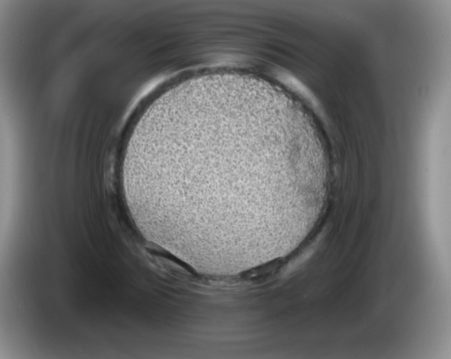 X0000083990875200703091843