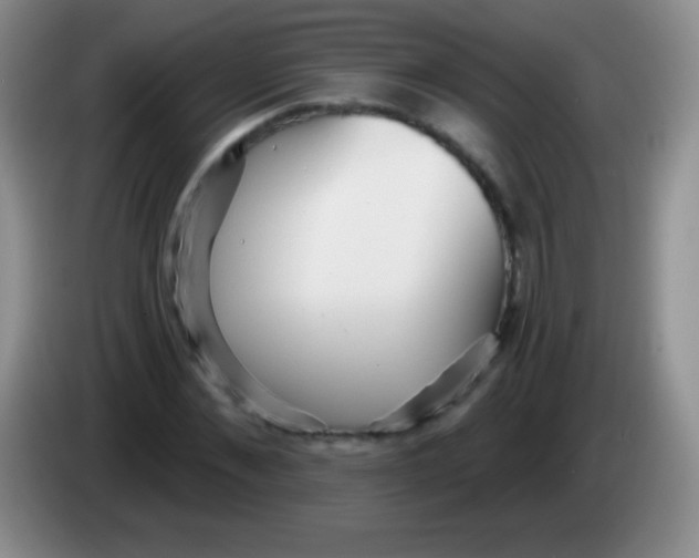 X0000083990876200703091843