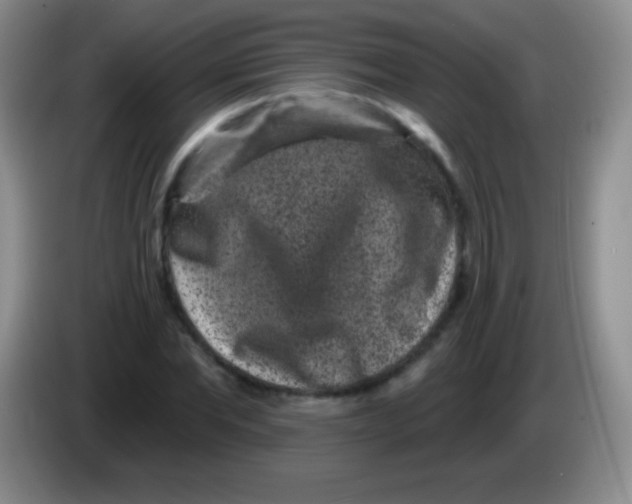 X0000083990877200703091843