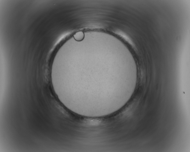 X0000083990878200703091843