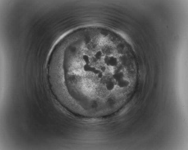 X0000083990879200703091843