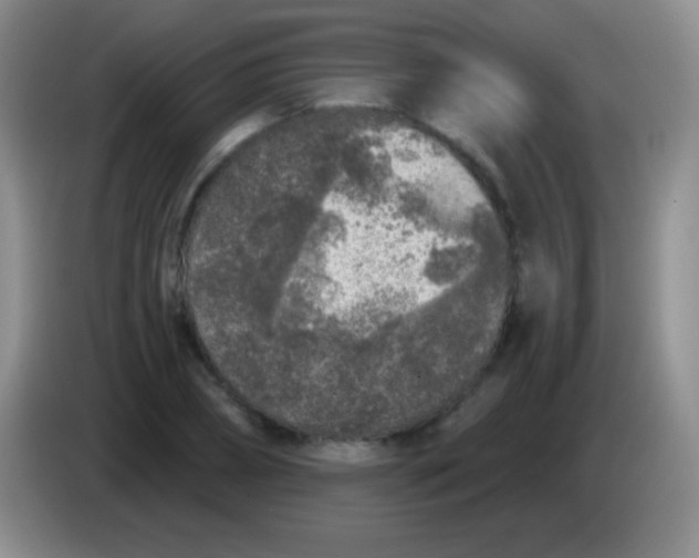 X0000083990882200703091843