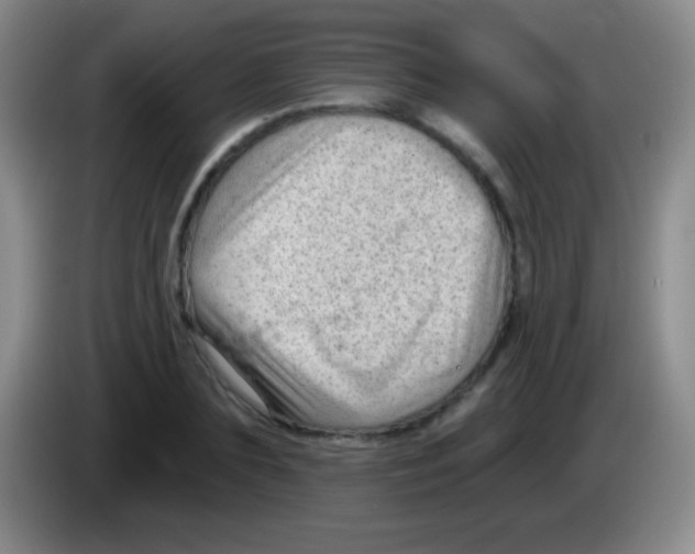 X0000083990883200703091843