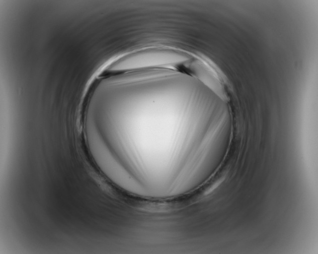 X0000083990885200703091843