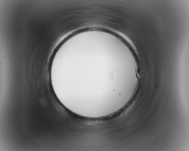 X0000083990887200703091843