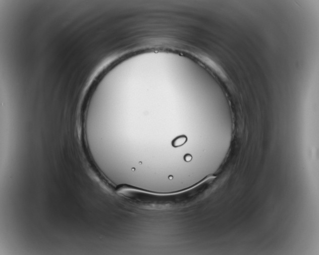 X0000083990888200703091843