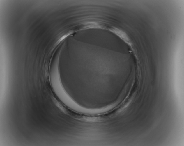 X0000083990889200703091843