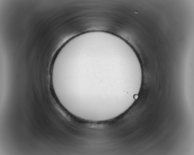 X0000083990890200703091843