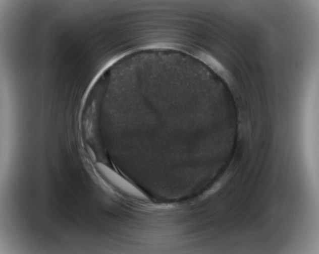 X0000083990892200703091843