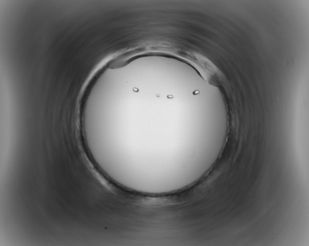 X0000083990894200703091843