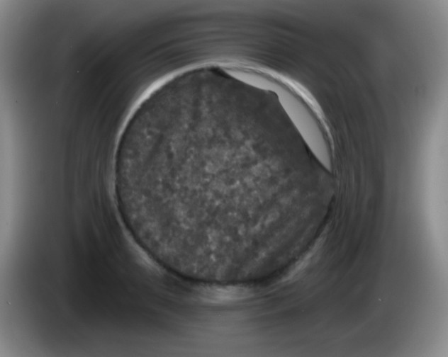 X0000083990895200703091843