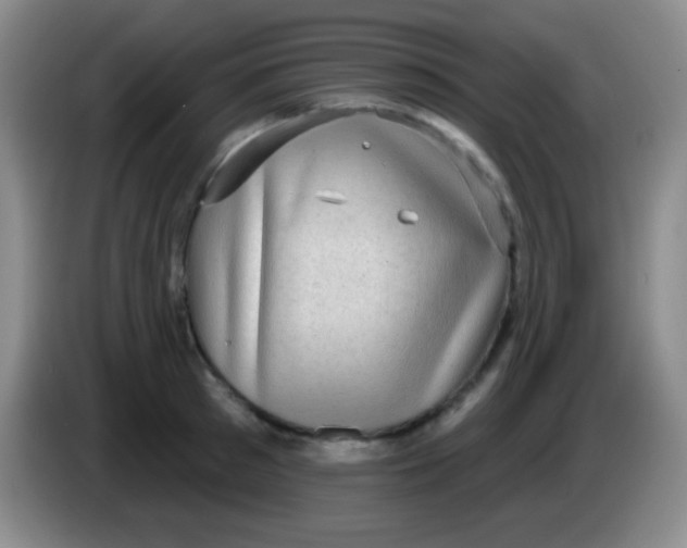 X0000083990897200703091843