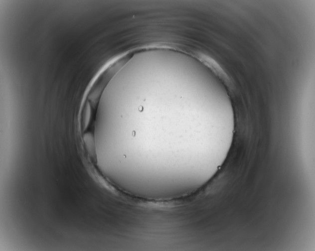 X0000083990900200703091843