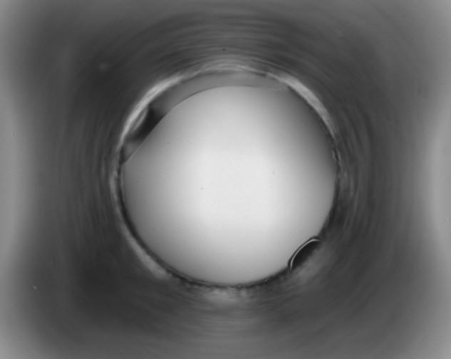 X0000083990901200703091843