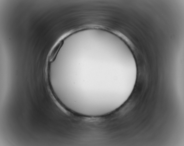 X0000083990902200703091843