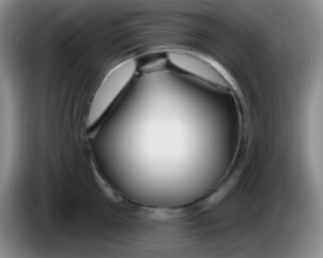 X0000083990905200703091843