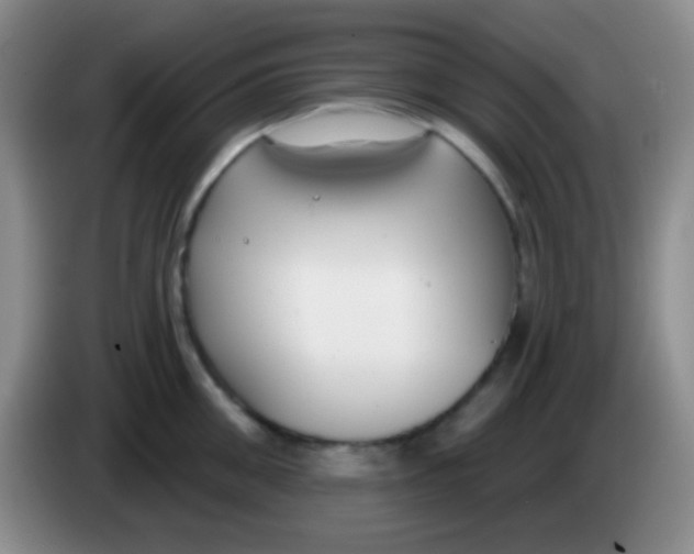 X0000083990906200703091843