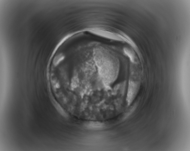 X0000083990907200703091843